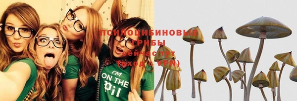 сатива Козловка