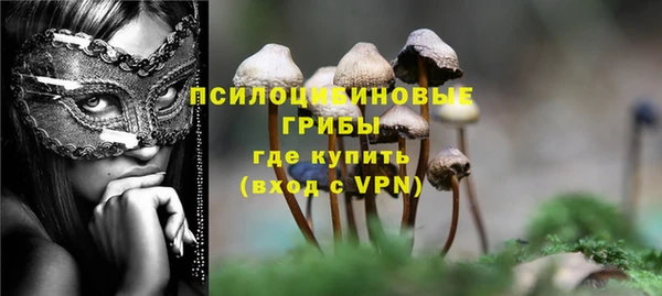 сатива Козловка