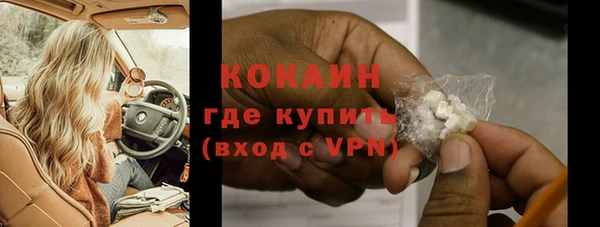 сатива Козловка