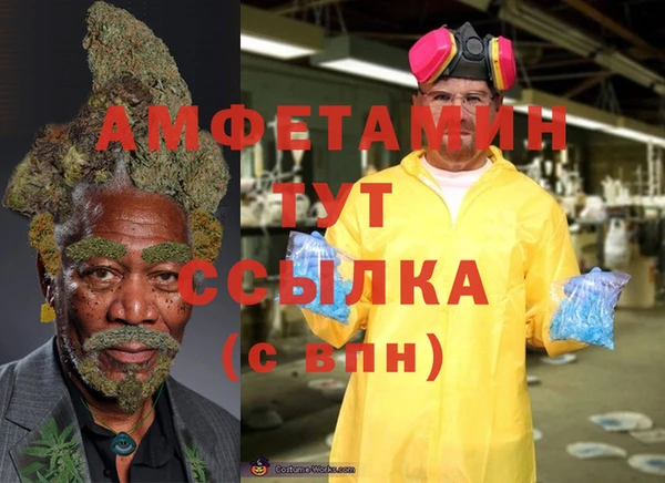 сатива Козловка