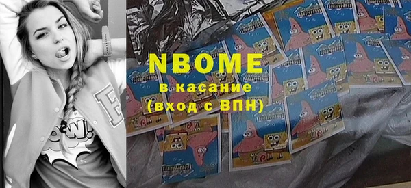 сатива Козловка