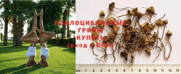 соль курить ск Козельск