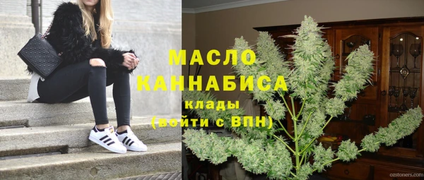 сатива Козловка