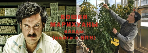сатива Козловка