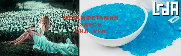 сатива Козловка